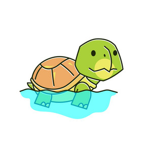 有趣的乌龟乌龟游泳异国情调的爬行动物水