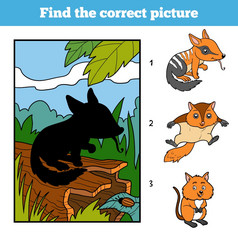 找到的正确的图片教育游戏为孩子们袋食蚁兽和背景