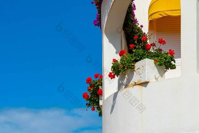 白色阳台与红色的花对明亮的蓝色的天空波多黎各克鲁兹tenerife西班牙白色阳台与红色的花对明亮的蓝色的天空波多黎各克鲁兹tenerife西班牙