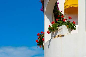 白色<strong>阳台</strong>与红色的花对明亮的蓝色的天空波多黎各克鲁兹tenerife西班牙白色<strong>阳台</strong>与红色的花对明亮的蓝色的天空波多黎各克鲁兹tenerife西班牙
