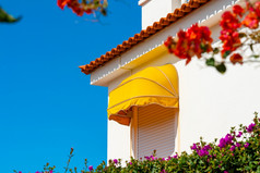白色房子与红色的花对明亮的蓝色的天空波多黎各克鲁兹tenerife西班牙白色房子与红色的花对明亮的蓝色的天空波多黎各克鲁兹tenerife西班牙