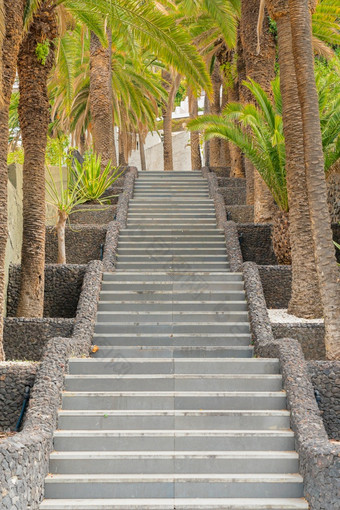 石头楼梯包围与棕榈树的街波多黎各克鲁兹tenerife金丝雀岛屿西班牙石头楼梯包围与棕榈树的街波多黎各克鲁兹tenerife金丝雀岛屿西班牙