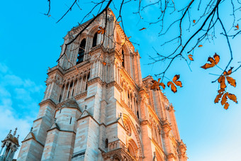 我们的爵士巴黎大教堂法国美妙的哥特体系结构秋天视图通过的分支机构和叶子我们的爵士巴黎大教堂法国美妙的哥特体系结构秋天视图通过的分支机构和叶子