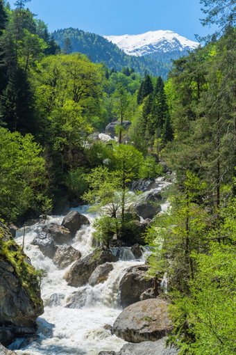 山河与瀑布流绿色森林高加索地区山春天景观山河与瀑布流绿色森林高加索地区山春天景观