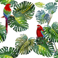 热带无缝的树叶模式与金刚鹦鹉鸟水彩热带画鸟和monstera绿色植物棕榈树热带绿色纹理绘画插图