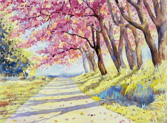 绘画水彩景观粉红色的红色的颜色野生喜玛拉雅樱桃路边的早....与古董情感天空云背景手画美自然冬天季节具有里程碑意义的泰国