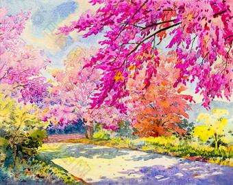摘要水彩原始景观绘画粉红色的颜色野生喜玛拉雅樱桃和情感蓝色的背景