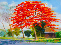 绘画石油颜色景观原始色彩斑斓的孔雀花树和木房子与云的天空背景