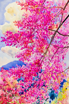 水彩绘画原始景观粉红色的红色的颜色野生喜玛拉雅樱桃花天空和云背景