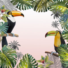 热带夏天树叶与巨嘴鸟鸟水彩手画鸟和monstera绿色植物棕榈树热带绿色纹理绘画插图粉红色的白色背景