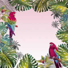 热带夏天树叶与金刚鹦鹉鸟水彩手画鸟和monstera绿色植物棕榈树热带绿色纹理绘画插图粉红色的白色背景