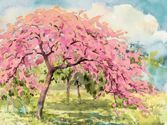 绘画花,水彩景观樱桃开花和草地手画插图纸天空背景美丽的自然春天夏天的季节环保