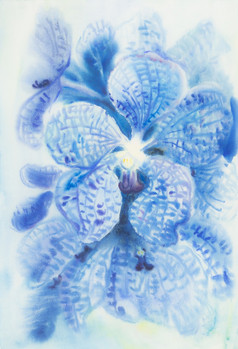 摘要水彩原始绘画蓝色的颜色万达腔肠杆菌花