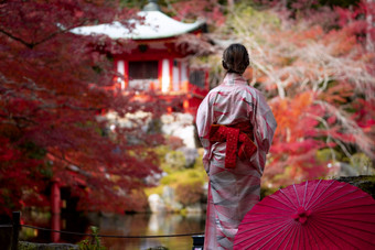 年轻的日本女孩旅行者传统的kimino衣服站digoji寺庙与红色的宝塔和红色的枫木叶秋天季节《京都议定书》日本日本旅游自然生活