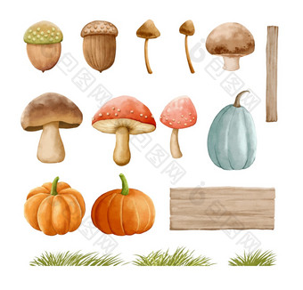 蘑菇秋天集与草<strong>水彩</strong>绘画风格蘑菇孤立的白色背景