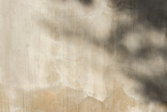 混凝土水泥材料和叶影子摘要墙背景纹理