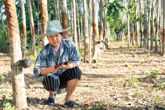 亚洲女人聪明的农民农业家快乐橡胶树种植园与橡胶树行自然乳胶农业收获自然橡胶白色牛奶颜色为行业泰国聪明的农民农业家橡胶树种植园