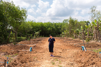 亚洲女人农民榴莲幼苗<strong>树苗</strong>榴莲王水果泰国和亚洲水果有峰值壳牌和甜蜜的可以买泰国街食物和水果市场农业农场榴莲幼苗<strong>树苗</strong>榴莲王水果