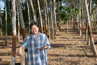 亚洲女人聪明的农民农业家快乐橡胶树种植园与橡胶树行自然乳胶农业收获自然橡胶白色牛奶颜色为行业泰国聪明的农民农业家橡胶树种植园