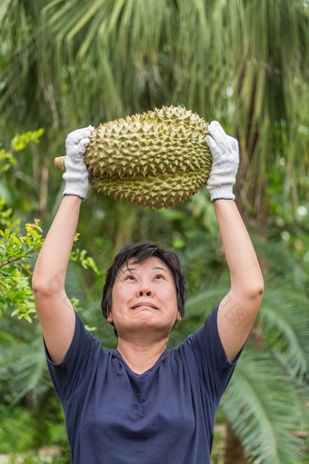 亚洲女人农民持有榴莲王水果泰国和亚洲水果有峰值壳牌和甜蜜的可以买泰国街食物和水果市场农业农场亚洲农民持有榴莲王水果