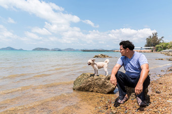亚洲男人。和狗可爱的混合品种与shih-tzu波美拉尼亚的和贵宾犬岩石海滩与快乐有趣的当旅行的地方与自然海滩和热带海与蓝色的天空和有岩石海滩狗快乐有趣的岩石海滩当旅行海