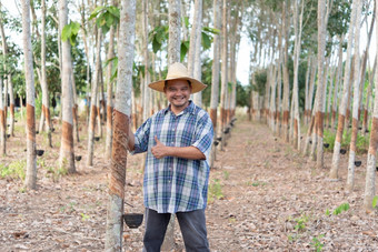 亚洲男人。农民农业家快乐橡胶树种植园与橡胶树行自然乳胶农业收获自然橡胶白色牛奶颜色为行业泰国农民农业家橡胶树种植园