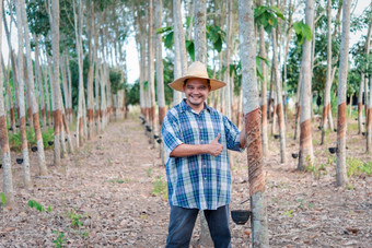 亚洲男人。农民农业家快乐橡胶树种植园与橡胶树行自然乳胶农业收获自然橡胶白色牛奶颜色为行业泰国农民农业家橡胶树种植园