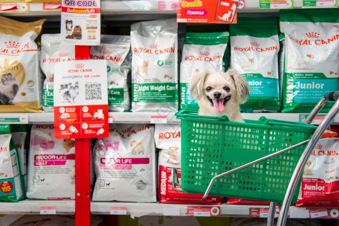 曼谷泰国4月狗可爱的等待宠物老板购物选择各种配件宠物食物从宠物货物架子上宠物店为她的狗开放每天为服务日常许多类型宠物食物和产品宠物商店