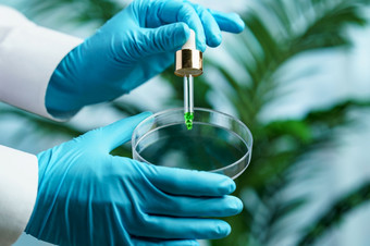 佩特里菜和吸管与绿色石油液体实验室概念