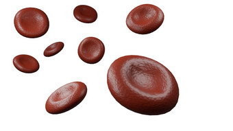 红色的血细胞孤立的渲染