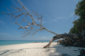 的美丽的白色沙子海滩与清晰的蓝色的海竹子岛KOH五月pai斐斐岛国家公园甲米<strong>安达曼</strong>泰国