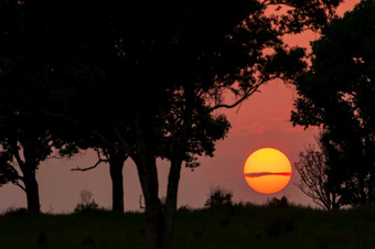 的金太阳集的平原考县Yai国家公园泰国神奇的太阳黑子涟漪云在的太阳红色的喇叭裤会出从的太阳