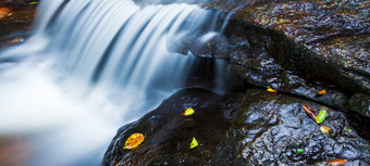 关闭拍摄淡水热带瀑布倒砂岩多雨的季节纯水流动层砂岩墙黄色的和绿色叶子瀑布水长曝光