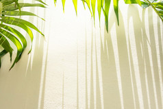绿色棕榈叶子和条纹影子奶油墙阳光照通过棕榈叶子到的墙