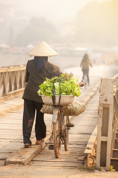 回来视图高级越南女人走与老自行车与蔬菜穿越古老的木桥湿市场农村场景服务好吧府越南软焦点蔬菜