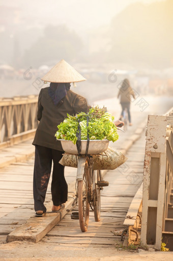 回来视图高级越南女人走与老自行车与蔬菜穿越古老的木桥湿市场农村场景服务好吧府越南软焦点蔬菜