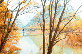 宁静的秋天农村场景云南中国美丽的橙色和黄色的叶子<strong>柳树</strong>树附近河和古老的桥焦点<strong>柳树</strong>树