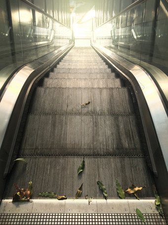 空自动扶梯在新冠病毒流感大流行瀑布叶子自动扶梯空自动扶梯楼梯视图血统下来地板上焦点叶子的前景