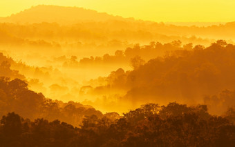 <strong>风景</strong>山的早期早....雾软早....雾涵盖了松森林和山树摘要层山的雾南不<strong>泰国</strong>假期假期旅游概念