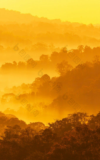 风景山的早期早....雾软早....雾涵盖了松森林和山树摘要层山的雾南<strong>不</strong>泰国假期假期<strong>旅游</strong>概念