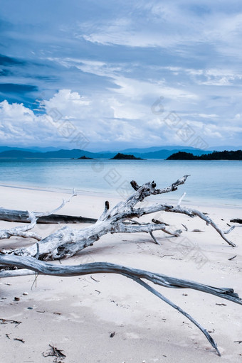 海景视图的日志海滩与热带岛屿的蓝色的海空海滩季风季节日本岛屿拉廊府泰国焦点日志