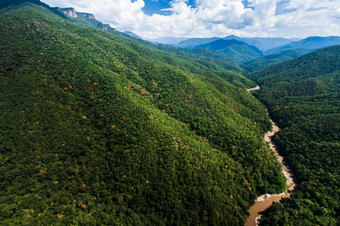 空中视图景观柚木森林和河附近thailand-myanmar边境绿色柚木森林雨季节纯热带森林环境气候改变概念焦点绿色植物