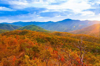 风景秋天山日落色彩鲜艳的森林季<strong>节</strong>具体的假期假期<strong>旅游</strong>概念软焦点森林