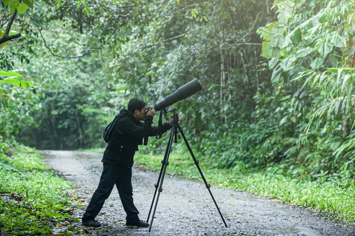 专业野生动物摄影师需要图片与数字相机和super-telephoto镜头三脚架丛林焦点的镜头