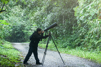 专业野生<strong>动物摄影</strong>师需要图片与数字相机和super-telephoto镜头三脚架丛林焦点的镜头
