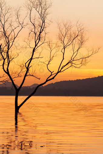 和平日落时间美丽的日落天空《暮光之城》反映的湖轻轻涟漪波山背景神奇的形状死树前景泰国轮廓