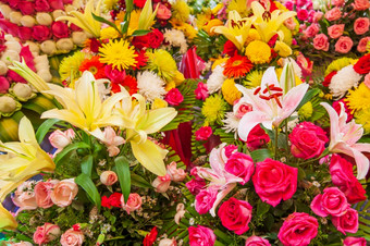 色彩鲜艳的新鲜的开花花美丽的莉莉玫瑰和其他花的花店商店货架上小径断续器thmei市场金边在金边城市柬埔寨