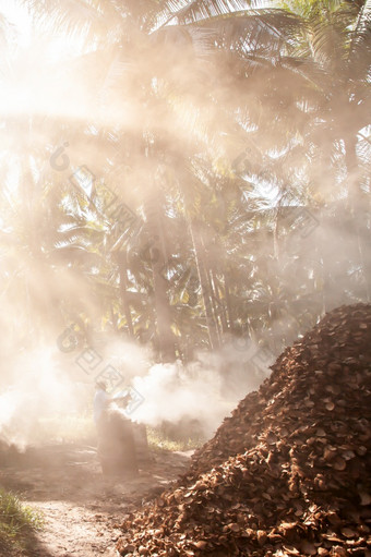 亚洲女园丁燃烧椰子壳牌木炭椰子棕榈树花园风景优美的景观热带花园烟雾缭绕的日出农业简单的生活风格东南亚洲模糊背景