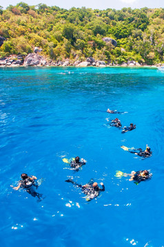集团杂项潜水西装住漂浮的海为潜水色彩斑斓的热带海夏天绿松石海水与绿色岛背景Similan岛屿安达曼海泰国
