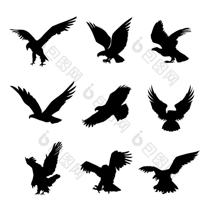 鹰猎鹰鸟鹰动物飞标志黑色的图标纹身向量